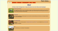 Desktop Screenshot of m-petz.de